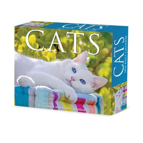 Cats 2026 5.4" x 6.2" Box Calendar by Willow Creek Press, 9781549254048