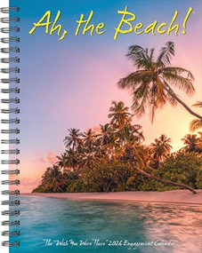 Ah, The Beach! 2026 6.5" x 8.5" Engagement Calendar by Willow Creek Press, 9781549254550