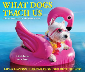 What Dogs Teach Us 2026 5.4" x 6.2" Box Calendar by Willow Creek Press, 9781549254512