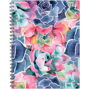 So Very Succulent 2026 8.5" x 11" Weekly Monthly Softcover Planner by Willow Creek Press, 9781549257377