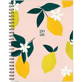Citrus 2026 6.5" x 8.5" Weekly Monthly Softcover Planner by Willow Creek Press, 9781549258503