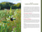 The Forager's Garden (Cultivating Wild Plants for Food & Medicine) by Vickie Shufer, 9781510784550