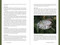 The Forager's Garden (Cultivating Wild Plants for Food & Medicine) by Vickie Shufer, 9781510784550