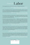 Labor (One Woman's Work) - 9781668015407 by Mary Fariba Afsari