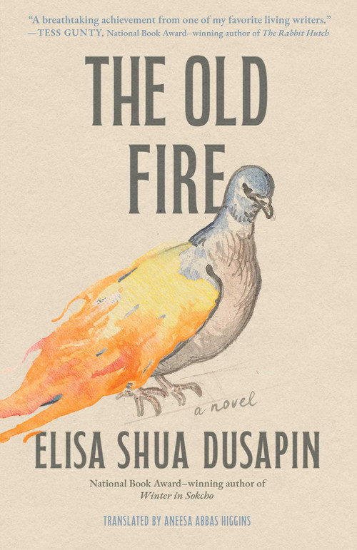 The Old Fire (A Novel) by Elisa Shua Dusapin, Aneesa Abbas Higgins, 9781668212219