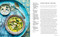 Dhal (Comforting vegan & vegetarian recipes made with lentils, peas and beans) by Nitisha Patel, 9781788797443
