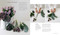Jane Packer's Flower Course by Jane Packer, 9781788797498
