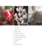 Jane Packer's Flower Course by Jane Packer, 9781788797498