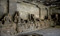 Ellora (Cross-Fertilization of Style in Buddhist, Hindu and Jain Cave Temples) by Deepanjana Klein, Arno Klein, 9789385360800