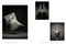 Erwin Olaf (Freedom) by Hans Manen, Hans Ulrich Obrist, Rein Wolfs, 9789493416185