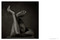 Erwin Olaf (Freedom) by Hans Manen, Hans Ulrich Obrist, Rein Wolfs, 9789493416185