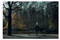 Erwin Olaf (Freedom) by Hans Manen, Hans Ulrich Obrist, Rein Wolfs, 9789493416185