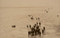 Early Gaze (Unseen Photography of the 19th Century) (Dutch; Flemish Edition) by Tamara Berghmans, Ingrid Leonard, 9789493416284