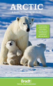 Arctic (A guide to coastal wildlife) by Tony Soper, Daniel Powell, 9781804693414