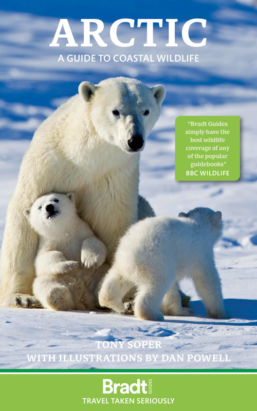 Arctic (A guide to coastal wildlife) by Tony Soper, Daniel Powell, 9781804693414