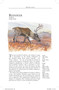 Arctic (A guide to coastal wildlife) by Tony Soper, Daniel Powell, 9781804693414