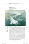 Arctic (A guide to coastal wildlife) by Tony Soper, Daniel Powell, 9781804693414