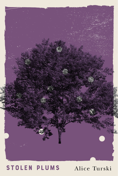 Stolen Plums by Alice Turski, 9781550656770