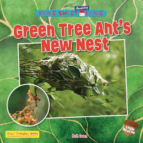 Green Tree Ant's New Nest by Ruth Owen, 9781788566247
