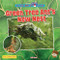 Green Tree Ant's New Nest by Ruth Owen, 9781788566247