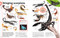Our World in Pictures Bugs, Butterflies, Beetles and Bees by DK, 9798217134199