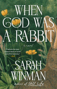 When God Was a Rabbit by Sarah Winman, 9798217181247