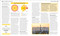 The Geography Book by DK, 9798217134298