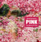 Pink (The History of a Color) by Michel Pastoureau, Jody Gladding, 9780691266268