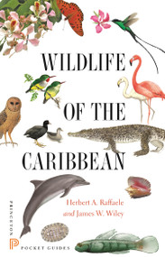 Wildlife of the Caribbean by Herbert A. Raffaele, James Wiley, 9780691153827