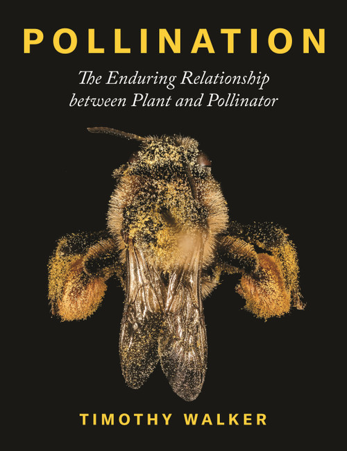 Pollination (The Enduring Relationship between Plant and Pollinator) by Timothy Walker, 9780691203751