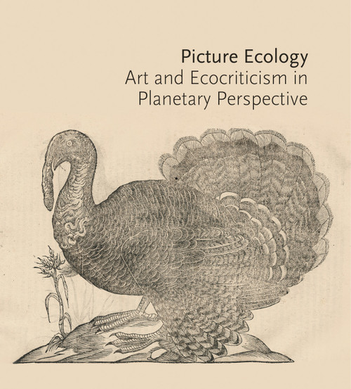 Picture Ecology (Art and Ecocriticism in Planetary Perspective) by Karl Kusserow, Alan C. Braddock, Maura Coughlin, Rachael Z. DeLue, T. J. Demos, Mónica Domínguez Torres, Finis Dunaway, Stephen F. Eisenman, Emily Gephart, Karl Kusserow, De-nin D. Lee, Gregory Levine, Anne McClinto..., 9780691236018
