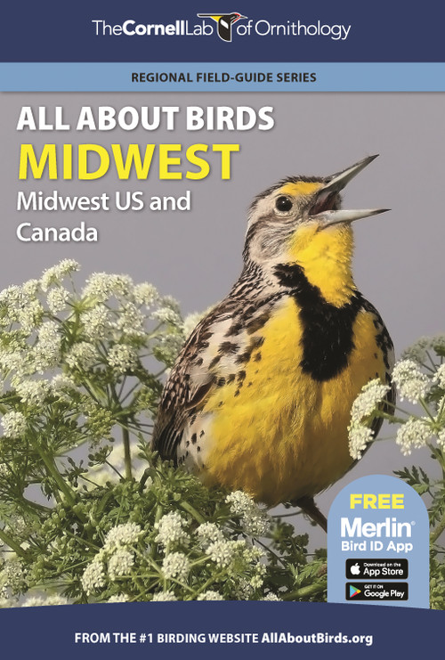 All About Birds Midwest (Midwest US and Canada) by Cornell Lab of Ornithology, 9780691990002