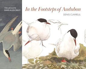 In the Footsteps of Audubon by Denis Clavreul, David Allen Sibley, Martha Le Cars, 9780691237688
