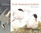 In the Footsteps of Audubon by Denis Clavreul, David Allen Sibley, Martha Le Cars, 9780691237688