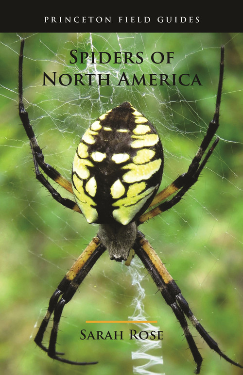 Spiders of North America by Sarah Rose, Eric R. Eaton, 9780691175614