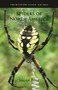Spiders of North America by Sarah Rose, Eric R. Eaton, 9780691175614