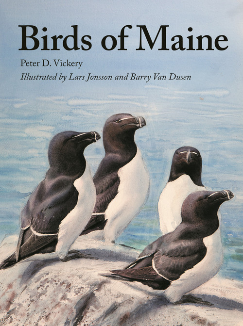 Birds of Maine - 9780691193199 by Peter D. Vickery, Charles D. Duncan, Jeffrey V. Wells, William J. Sheehan, Scott Weidensaul, Barbara Vickery, Barry Van Dusen, Lars Jonsson