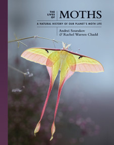 The Lives of Moths (A Natural History of Our Planet's Moth Life) by Andrei Sourakov, Rachel Warren Chadd, 9780691228563