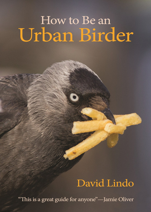How to Be an Urban Birder by David Lindo, Jamie Oliver, 9780691179629