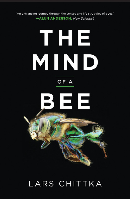 The Mind of a Bee by Lars Chittka, 9780691253893