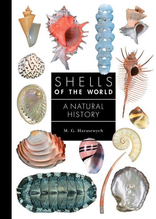 Shells of the World (A Natural History) by M. G. Harasewych, 9780691248271