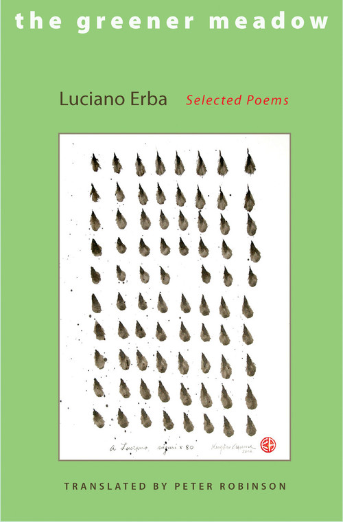 The Greener Meadow (Selected Poems) by Luciano Erba, Peter Robinson, 9780691127644
