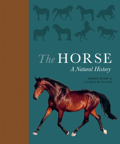 The Horse (A Natural History) by Debbie Busby, Catrin Rutland, 9780691178776
