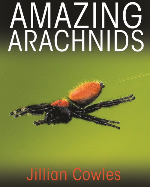 Amazing Arachnids by Jillian Cowles, 9780691176581