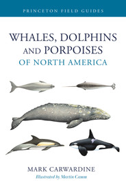 Whales, Dolphins, and Porpoises of North America by Mark Carwardine, Martin Camm, 9780691282701
