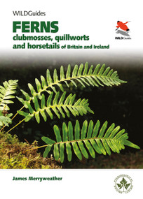Ferns (Clubmosses, Quillworts and Horsetails of Britain and Ireland) by James Merryweather, 9780691180397