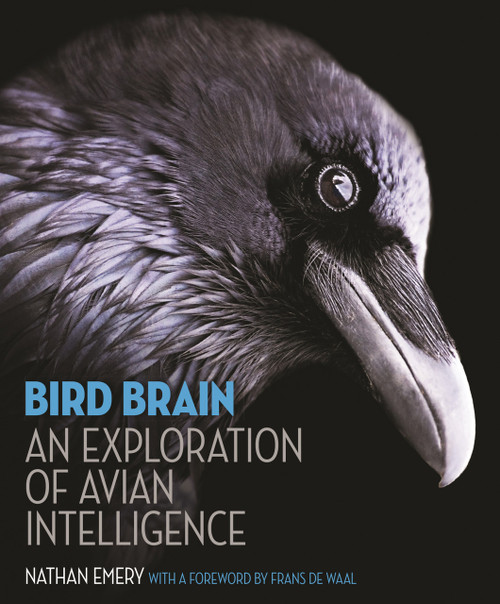 Bird Brain (An Exploration of Avian Intelligence) by Nathan Emery, Frans de Waal, 9780691165172