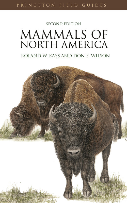 Mammals of North America (Second Edition) by Roland W. Kays, Don Ellis Wilson, 9780691140926