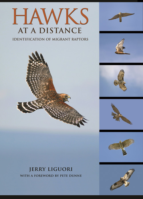 Hawks at a Distance (Identification of Migrant Raptors) by Jerry Liguori, Pete Dunne, 9780691135595