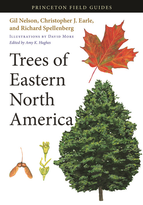 Trees of Eastern North America by Gil Nelson, Christopher J. Earle, Richard Spellenberg, Amy K. Hughes, David More, 9780691145914